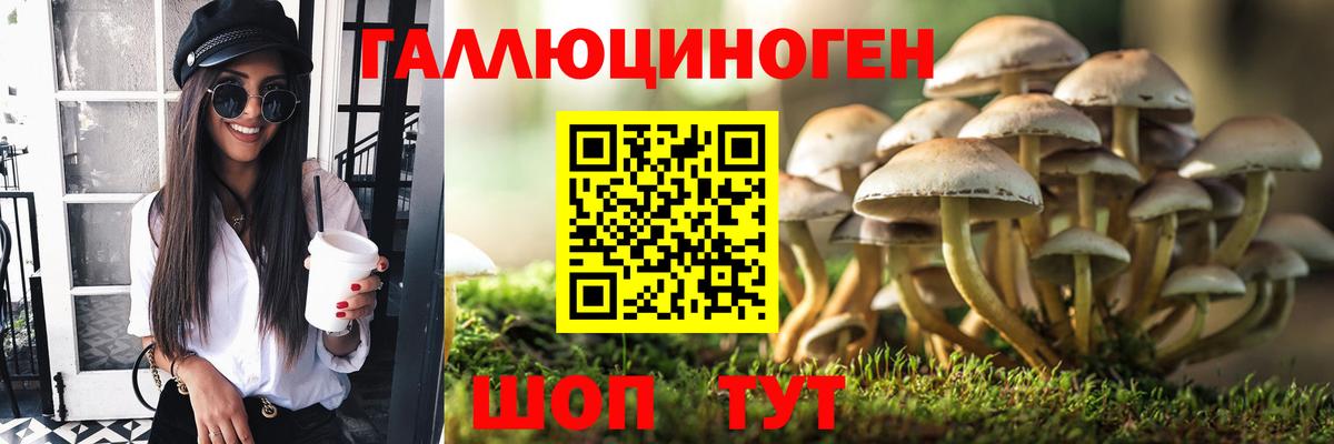 Псилоцибиновые грибы Psilocybe  Вход с VPN  Тейково 